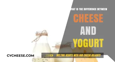 Cheese vs. Yogurt: Unraveling the Dairy Differences and Benefits