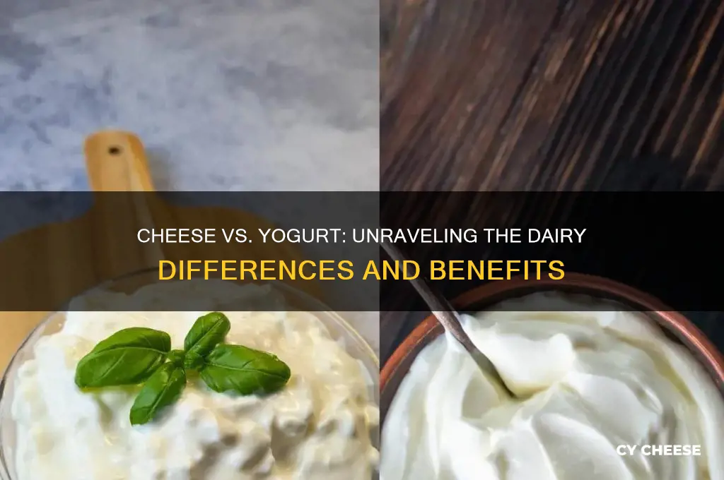 what is the difference between cheese and yogurt