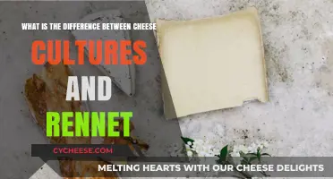 Cheese Cultures vs. Rennet: Understanding Their Unique Roles in Cheesemaking