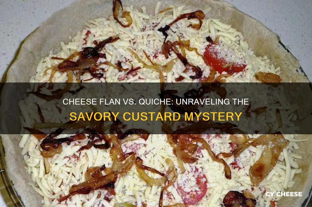 what is the difference between cheese flan and quiche