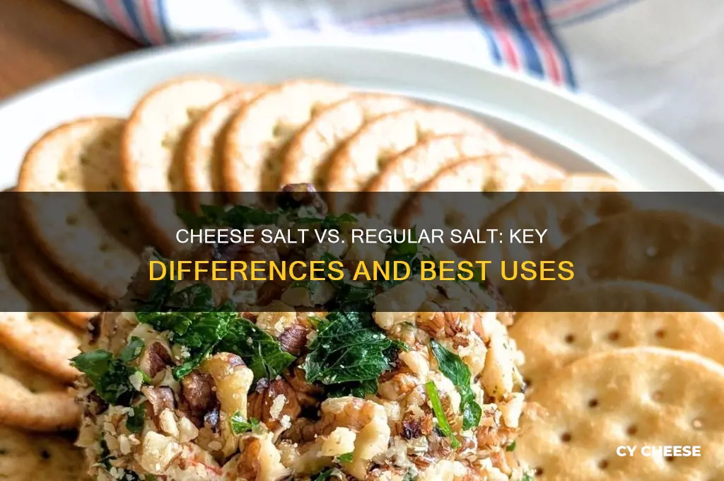 what is the difference between cheese salt and regular salt