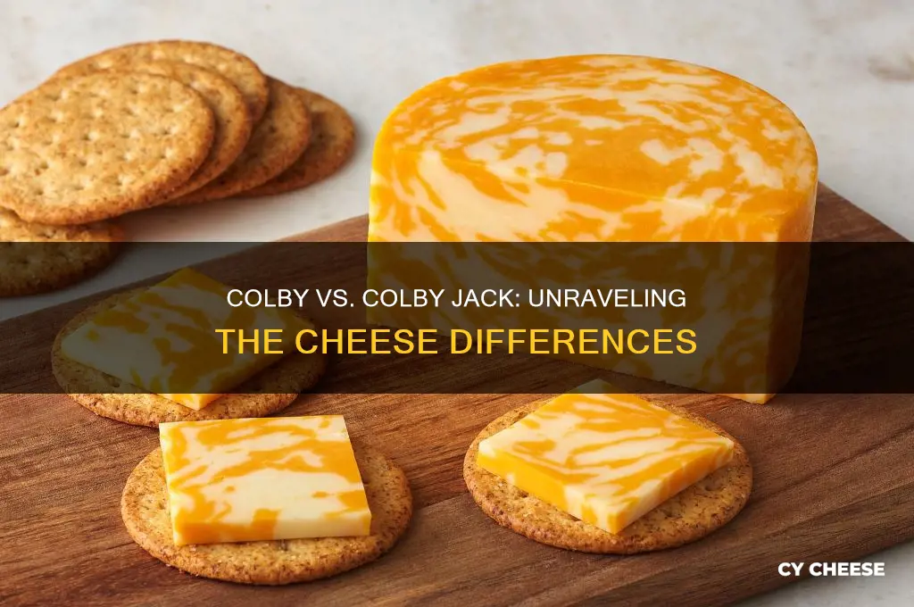 what is the difference between colby and colby jack cheese