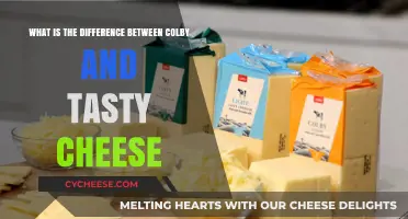 Colby vs. Tasty Cheese: Unraveling the Flavor and Texture Differences