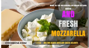Cottage Cheese vs. Fresh Mozzarella: Key Differences Explained
