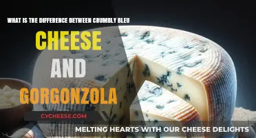 Crumbly Blue Cheese vs. Gorgonzola: Unraveling the Tasty Differences