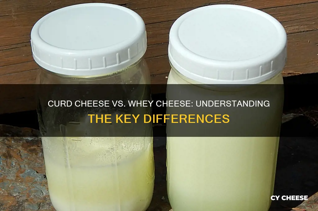 what is the difference between curd cheese and whey cheese