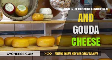 Edam vs. Gouda: Unraveling the Distinctive Traits of These Dutch Cheeses
