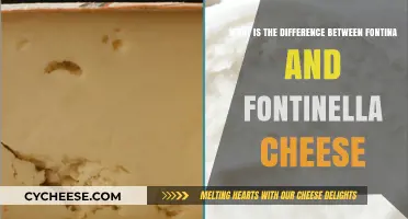 Fontina vs. Fontinella: Unraveling the Differences Between These Cheeses