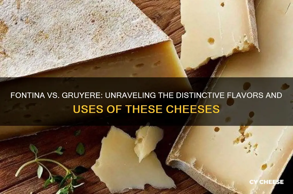what is the difference between fontina and gruyere cheese