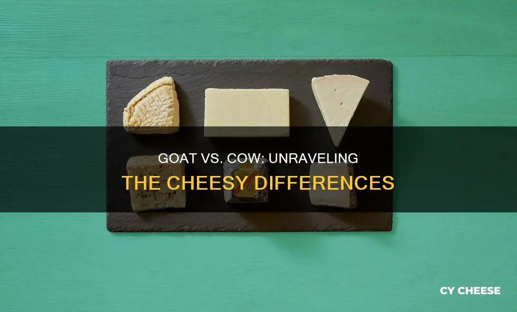 what is the difference between goat and cow cheese