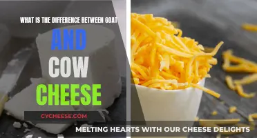 Goat vs. Cow Cheese: A Tangy Taste Comparison