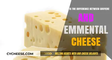 Gruyere vs Emmental: Unraveling the Distinctive Flavors and Textures