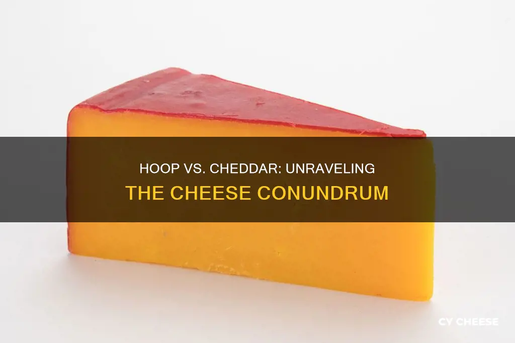 what is the difference between hoop cheese and cheddar cheese