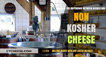 Kosher vs. Non-Kosher Cheese: Understanding the Key Differences