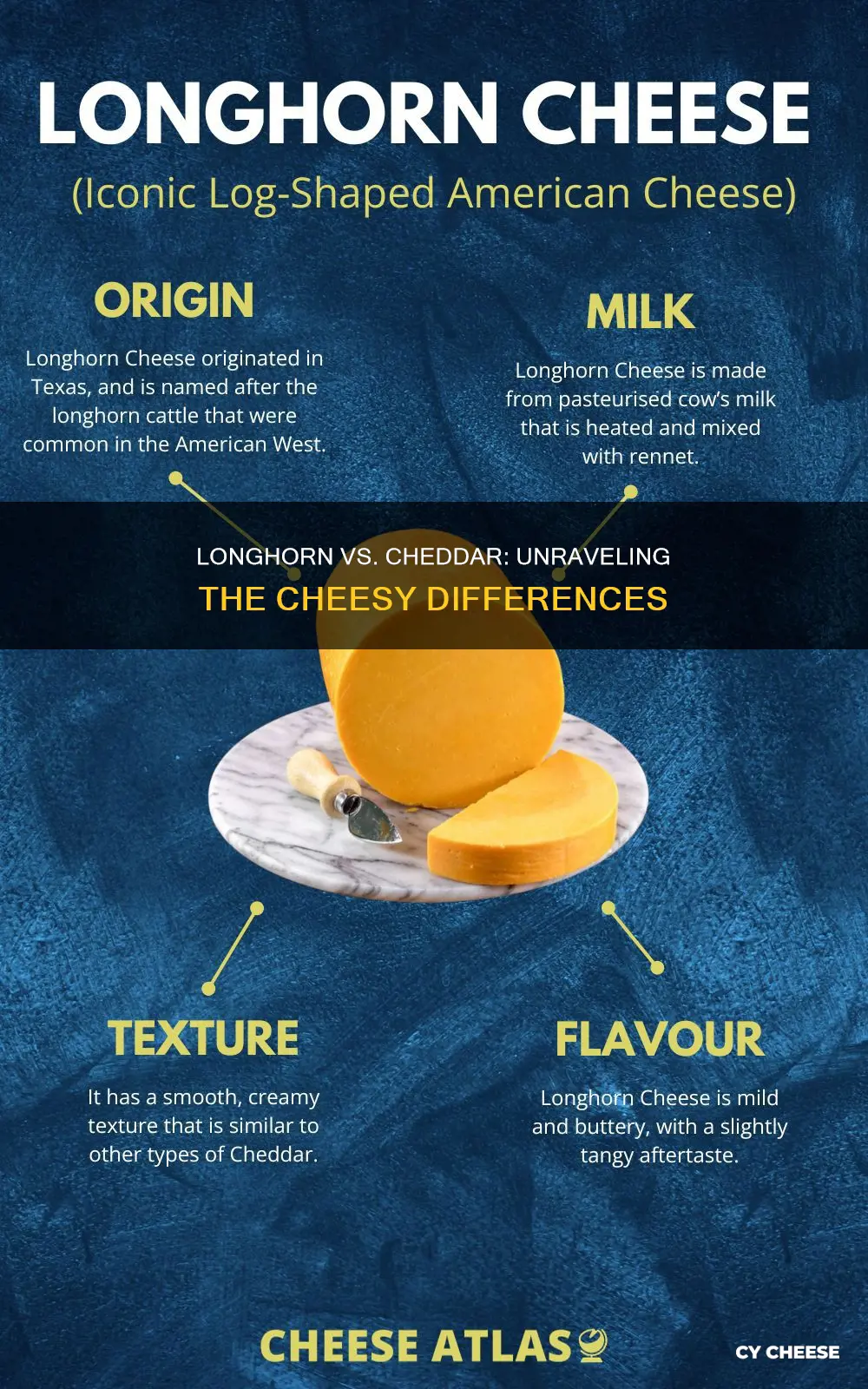 what is the difference between longhorn cheese and cheddar cheese