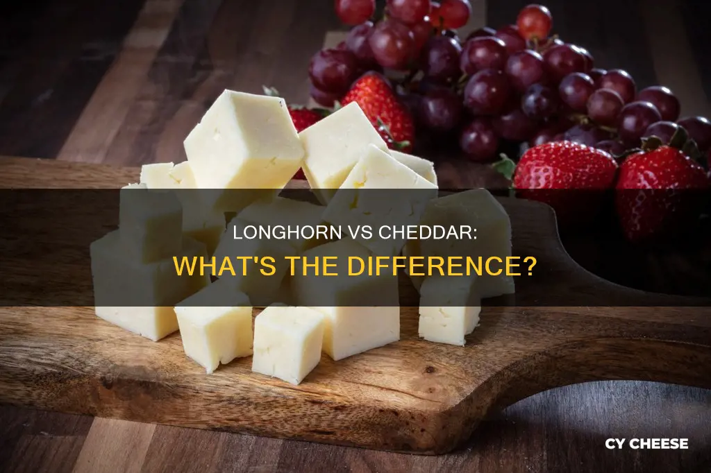 what is the difference between longhorn cheese and cheddar cheese
