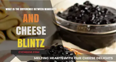 Manicotti vs. Cheese Blintz: Unraveling the Tasty Differences
