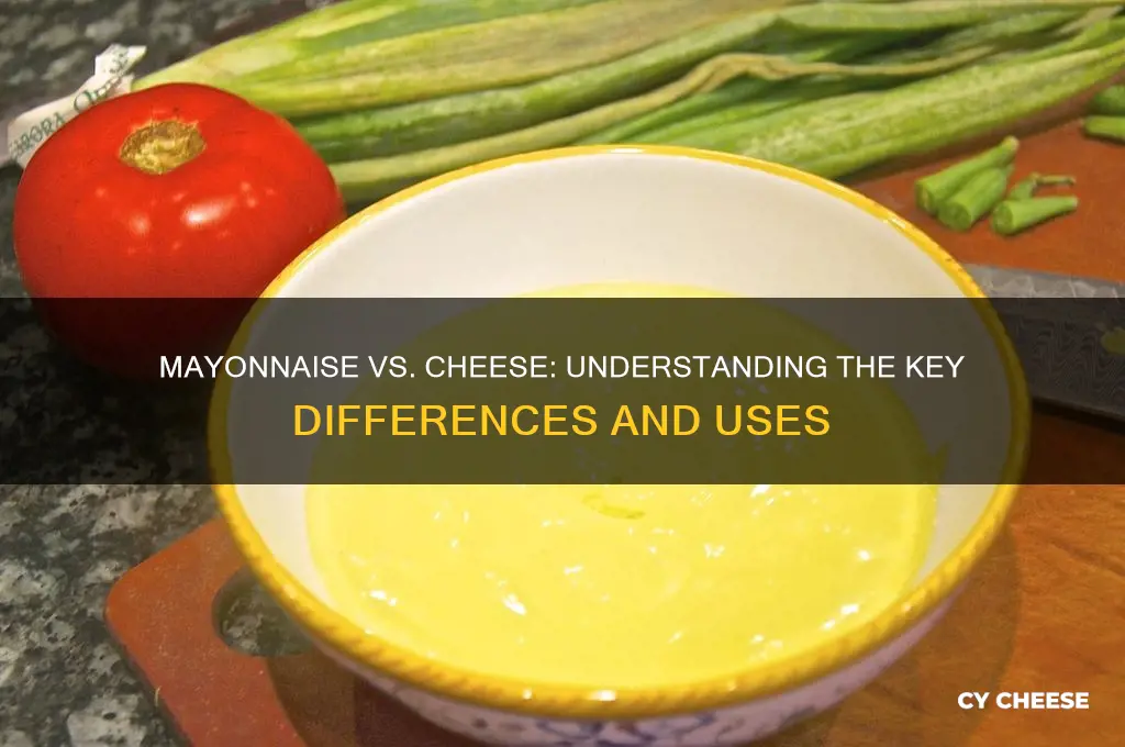 what is the difference between mayonnaise and cheese