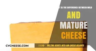 Mild vs. Mature Cheese: Understanding Flavor, Texture, and Aging Differences