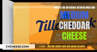 Mild vs. Medium Cheddar: Unraveling the Cheesy Differences