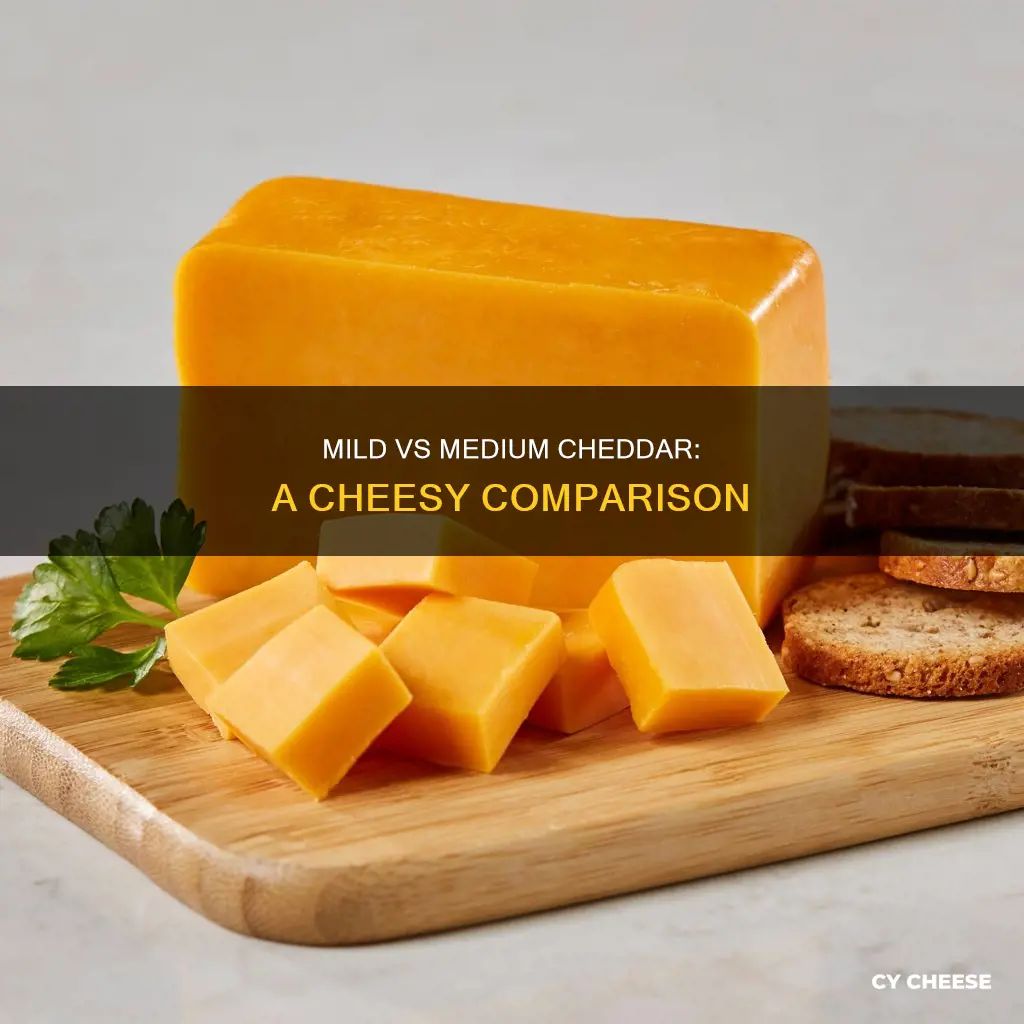 what is the difference between mild and medium cheddar cheese