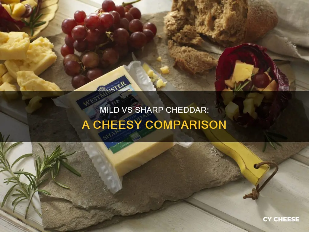 what is the difference between mild and sharp cheddar cheese