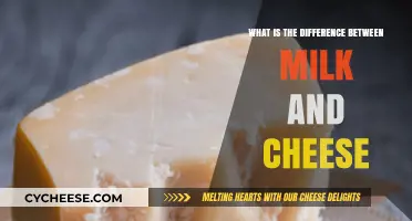 Milk vs. Cheese: Understanding the Key Differences and Uses