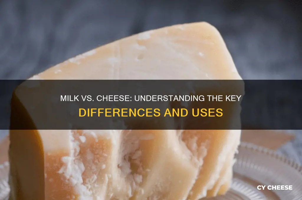 what is the difference between milk and cheese