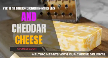 Monterey Jack vs. Cheddar: Unraveling the Cheesy Differences