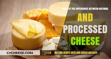 Natural vs. Processed Cheese: Understanding the Key Differences