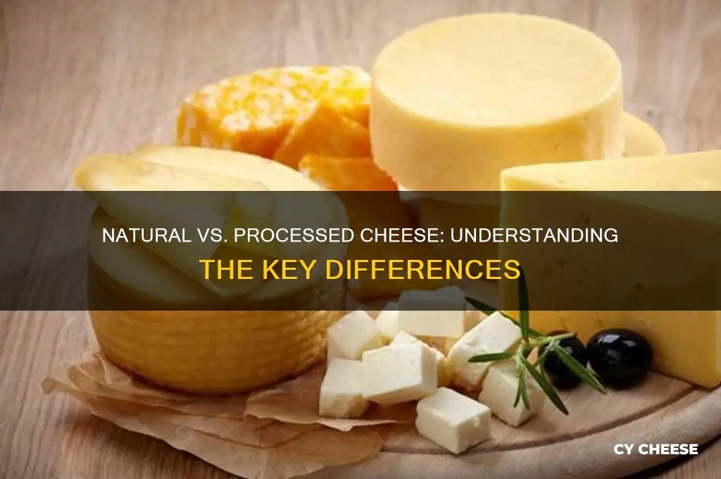 what is the difference between natural and processed cheese