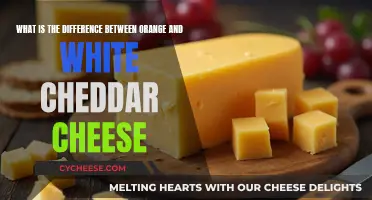 Orange vs. White Cheddar: Unraveling the Cheesy Mystery