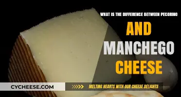 Pecorino vs. Manchego: Exploring the Distinct Flavors and Origins