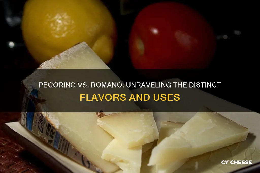 what is the difference between pecorino and romano cheese