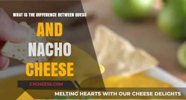Queso vs. Nacho Cheese: Unraveling the Melty, Cheesy Differences
