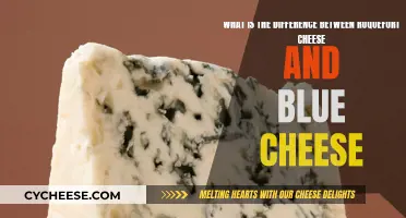 Blue Cheese vs. Roquefort: What's the Difference?