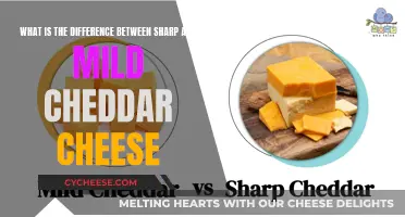 Tasting the Difference: Sharp vs. Mild Cheddar Cheese