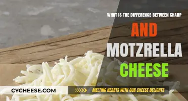 Sharp vs. Mozzarella: Unraveling the Distinct Cheese Differences