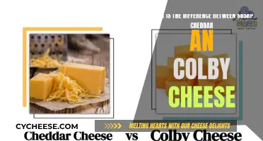 SRP Cheddar vs. Colby: Unraveling the Cheesy Differences