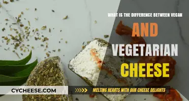 Vegan vs. Vegetarian Cheese: Understanding the Key Differences and Choices