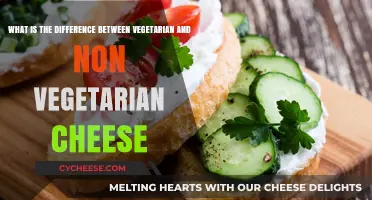 Vegetarian vs. Non-Vegetarian Cheese: Understanding the Key Differences