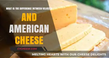 Velveeta vs. American Cheese: Unraveling the Melty Mystery