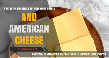 White Cheese vs. American Cheese: Understanding the Key Differences