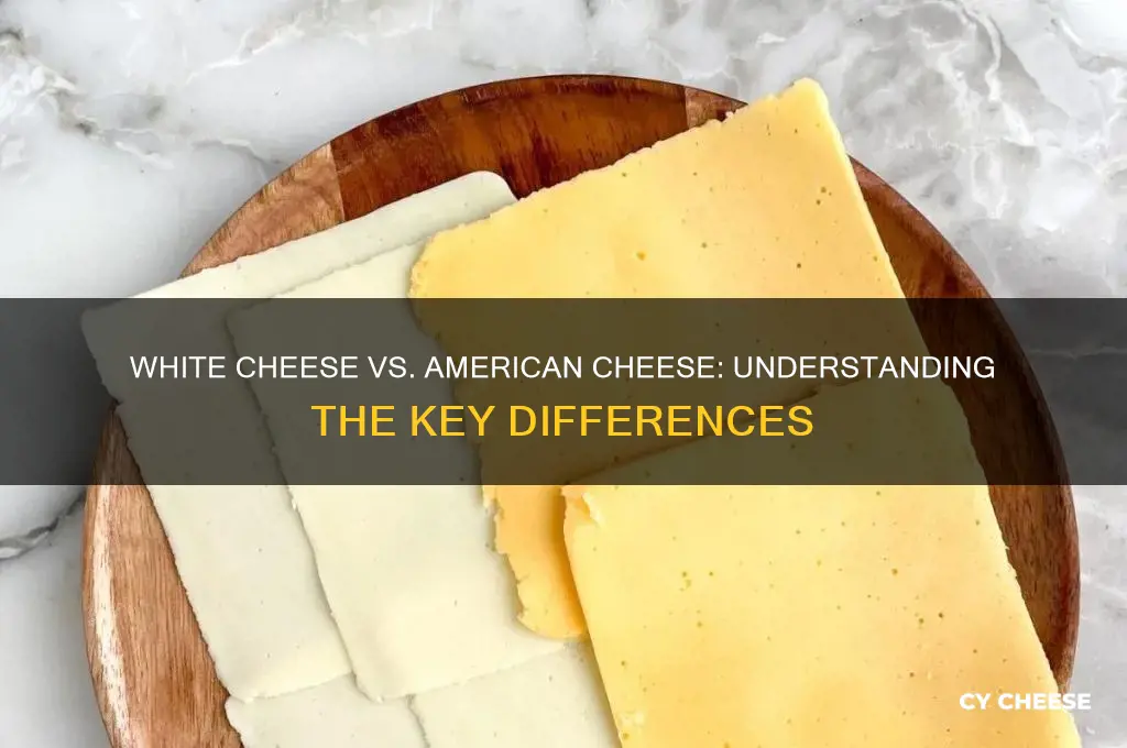 what is the difference between white cheese and american cheese