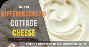 Cottage Cheese Explained: Understanding Varieties, Textures, and Uses