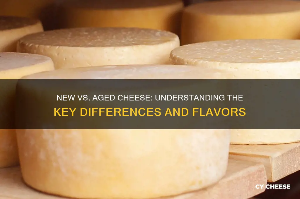 what is the differencebetweennew cheese and aged cheese