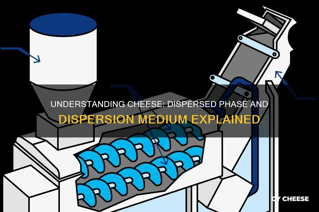 what is the dispersed phase and dispersion medium of cheese