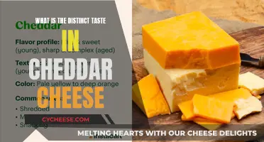 Unraveling Cheddar's Unique Flavor Profile: A Tasty Adventure