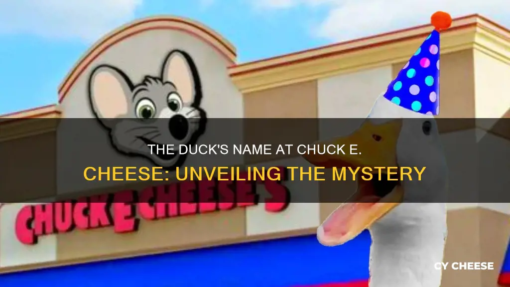 what is the duck