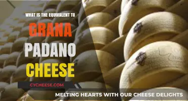 Discovering Grana Padano Cheese Alternatives: Top Substitutes for Your Recipes
